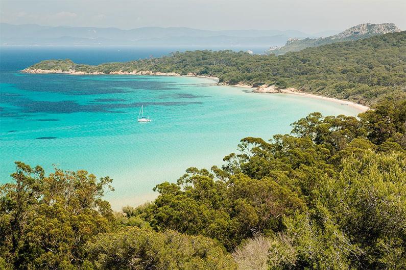 Joli Studio Entre La Mer Et La Ville Hyères Kültér fotó
